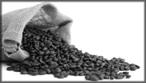 wass-hamilton-coffee-beans