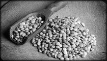 Lentils